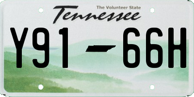 TN license plate Y9166H