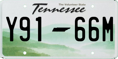 TN license plate Y9166M