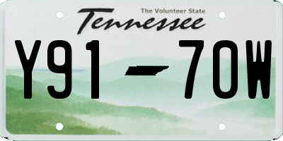 TN license plate Y9170W