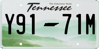 TN license plate Y9171M