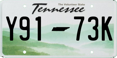 TN license plate Y9173K