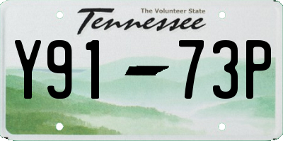 TN license plate Y9173P