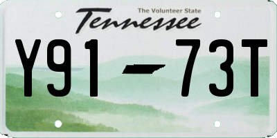 TN license plate Y9173T