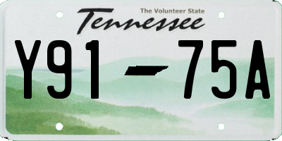 TN license plate Y9175A