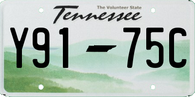TN license plate Y9175C