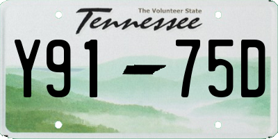 TN license plate Y9175D