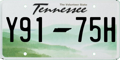 TN license plate Y9175H