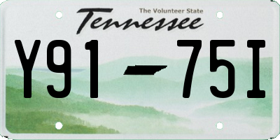 TN license plate Y9175I