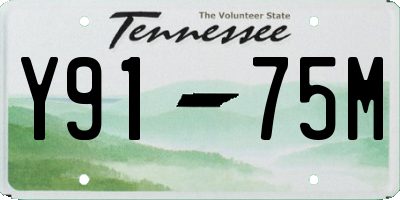 TN license plate Y9175M