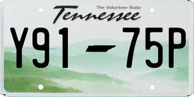 TN license plate Y9175P