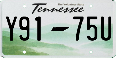TN license plate Y9175U