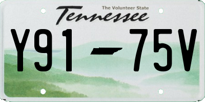 TN license plate Y9175V