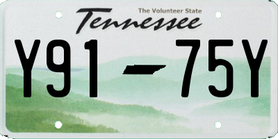 TN license plate Y9175Y