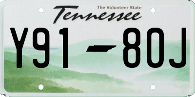 TN license plate Y9180J