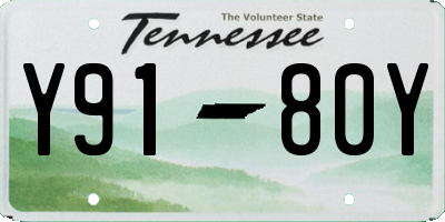 TN license plate Y9180Y