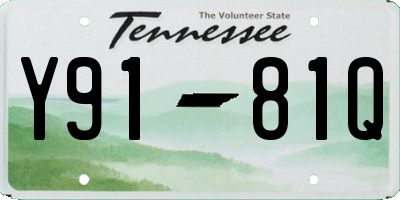 TN license plate Y9181Q