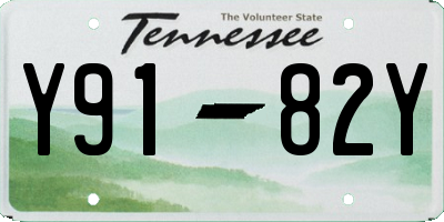 TN license plate Y9182Y