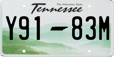 TN license plate Y9183M