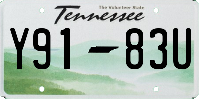 TN license plate Y9183U