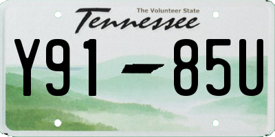 TN license plate Y9185U