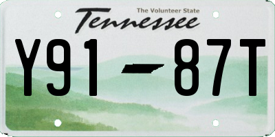 TN license plate Y9187T