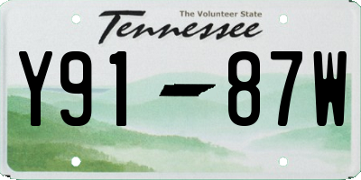 TN license plate Y9187W