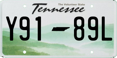 TN license plate Y9189L