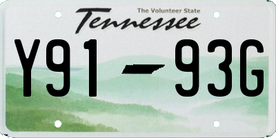 TN license plate Y9193G