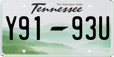 TN license plate Y9193U