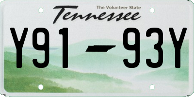 TN license plate Y9193Y