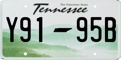 TN license plate Y9195B