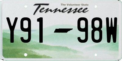 TN license plate Y9198W