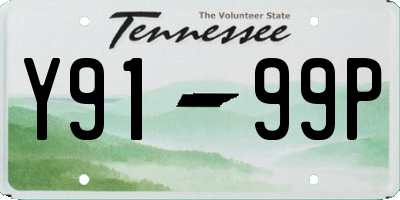 TN license plate Y9199P