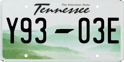 TN license plate Y9303E