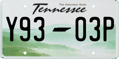 TN license plate Y9303P