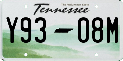 TN license plate Y9308M