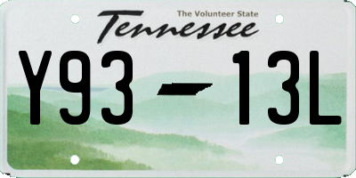 TN license plate Y9313L