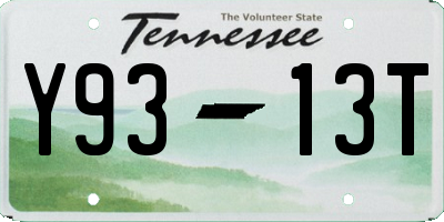 TN license plate Y9313T