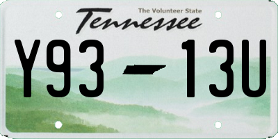 TN license plate Y9313U