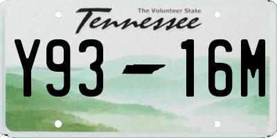 TN license plate Y9316M