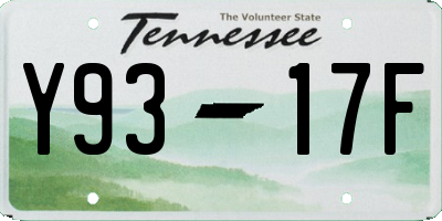 TN license plate Y9317F