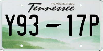 TN license plate Y9317P