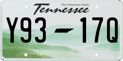 TN license plate Y9317Q