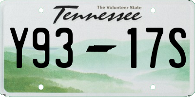 TN license plate Y9317S
