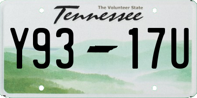 TN license plate Y9317U