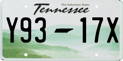 TN license plate Y9317X