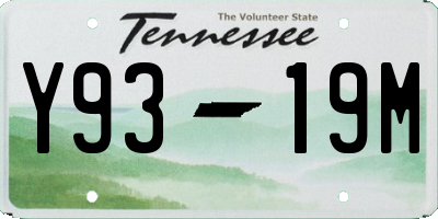 TN license plate Y9319M