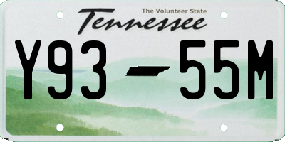 TN license plate Y9355M