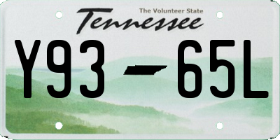 TN license plate Y9365L