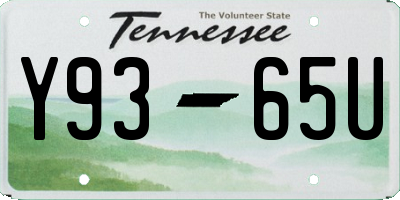 TN license plate Y9365U